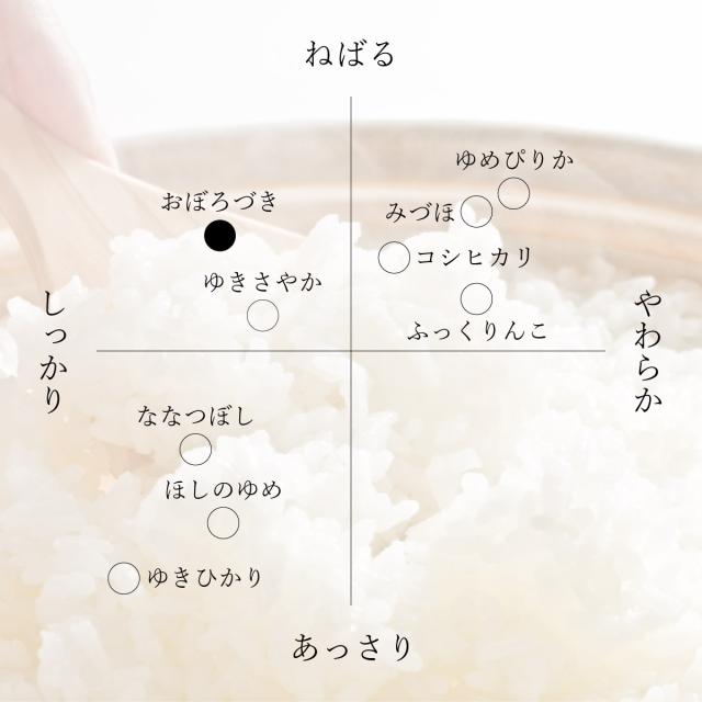 北海道産 おぼろづき 10kg 5kg×2袋 白米 令和7年産 真空パック可 送料無料 沖縄・離島配送不可_2