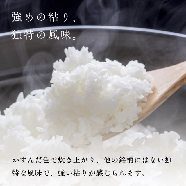 北海道産 おぼろづき 10kg 5kg×2袋 白米 令和7年産 真空パック可 送料無料 沖縄・離島配送不可_1