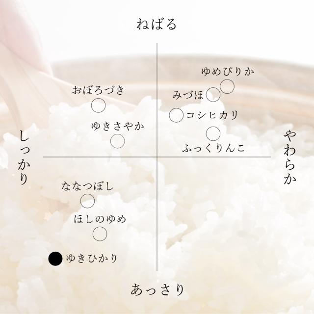 北海道産 ゆきひかり 10kg (5kg×2袋) 玄米 白米 令和7年産 真空パックに変更可 送料無料_2