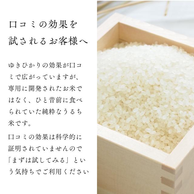 北海道産 ゆきひかり 10kg (5kg×2袋) 玄米 白米 令和7年産 真空パックに変更可 送料無料_1