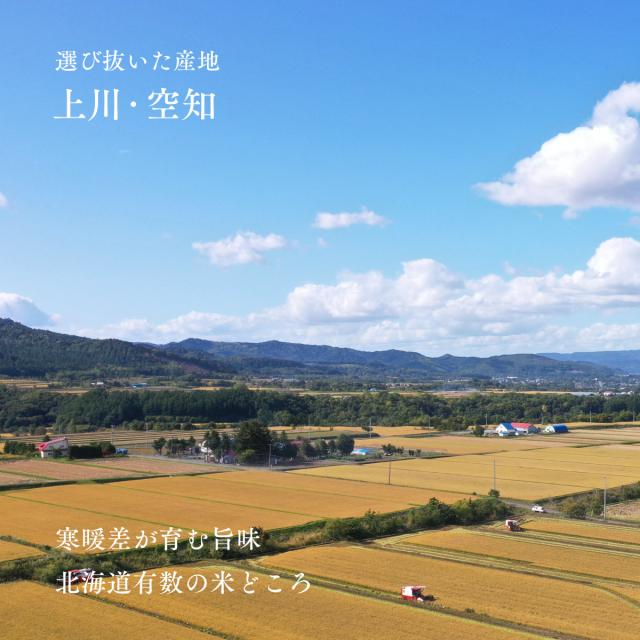 北海道 上川・空知産 ゆめぴりか 10kg 5kg×2袋 白米 令和7年産 特A 真空パック可 送料無料 沖縄・離島配送不可