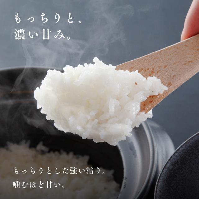 北海道 上川・空知産 ゆめぴりか 10kg 5kg×2袋 白米 令和7年産 特A 真空パック可 送料無料 沖縄・離島配送不可
