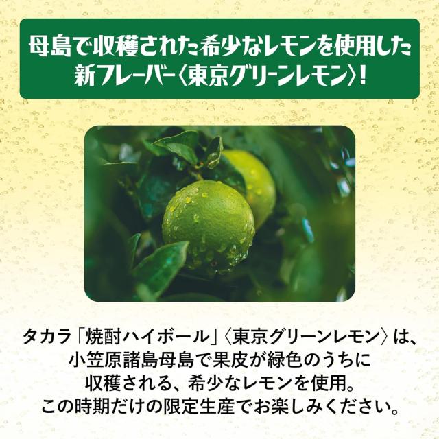 チューハイ 宝 焼酎ハイボール 東京グリーンレモン 500ml × 2ケース / 48本  のし・ギフト対応不可_3