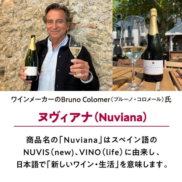 ワイン コドーニュ ヌヴィアナ カバ ブリュット 750ml × 2ケース / 計12本 スペイン 白・泡_4