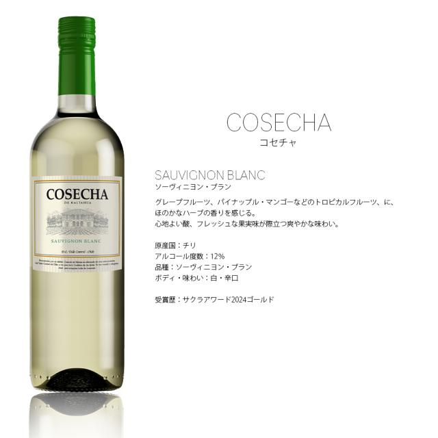 チリ コセチャ ソーヴィニヨンブラン 新 750ml × 1ケース / 12本 白ワイン・辛口 新生活 入学祝い 卒業祝い 就職祝い 進学祝い