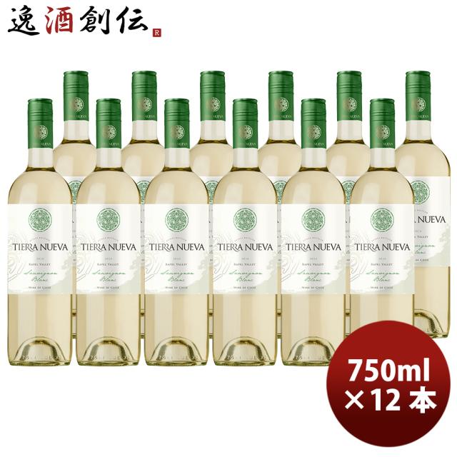 チリ ティエラ ヌエバ トラディション ソーヴィニヨン ブラン 750ml × 1ケース / 12本 白・辛口 新生活 入学祝い 卒業祝い 就職祝い 進学祝い