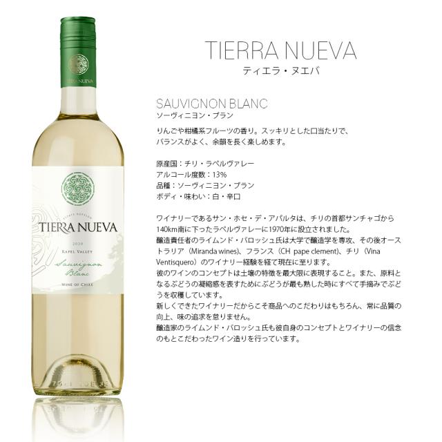 チリ ティエラ ヌエバ トラディション ソーヴィニヨン ブラン 750ml × 1ケース / 12本 白・辛口 新生活 入学祝い 卒業祝い 就職祝い 進学祝い