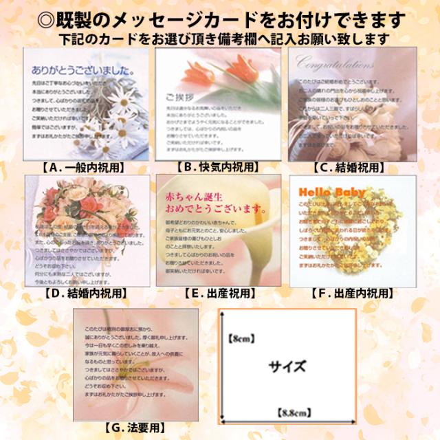 ハリカ カタログギフト カトレア 「THE COZY」 のし・ギフト対応不可_5