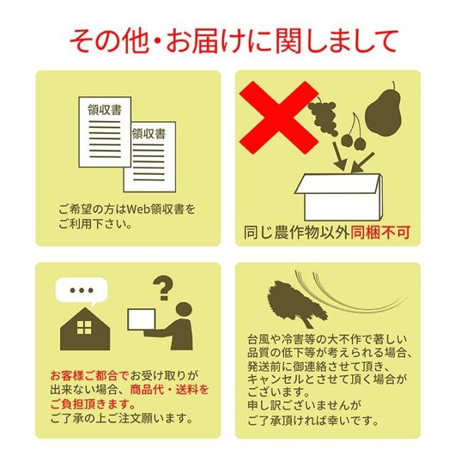 【2026年6月中旬発送 先行予約】 さくらんぼ 特秀 ２Ｌ 佐藤錦 贈答品 1kg（500g×2） 山形県 産地直送 なんと、名水百選の水を使って栽培！品質保障 佐藤錦 2Lサイズ 