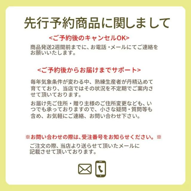 【2026年6月中旬発送 先行予約】 さくらんぼ 特秀 ２Ｌ 佐藤錦 贈答品 1kg（500g×2） 山形県 産地直送 なんと、名水百選の水を使って栽培！品質保障 佐藤錦 2Lサイズ 