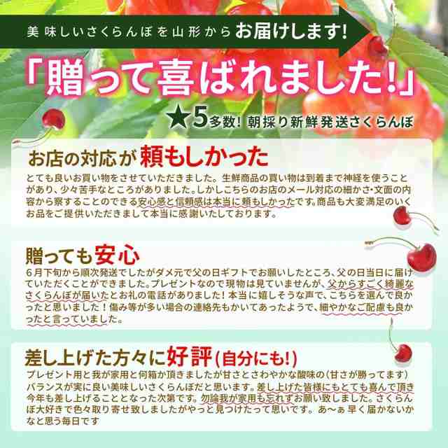 さくらんぼ 佐藤錦 贈答品 1kg（500g×2） 山形県産 東根市 産地直送 L