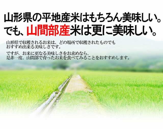 新米予約 米 お米 玄米30kg 山形産 送料無料 当日精米 令和5年産 つや