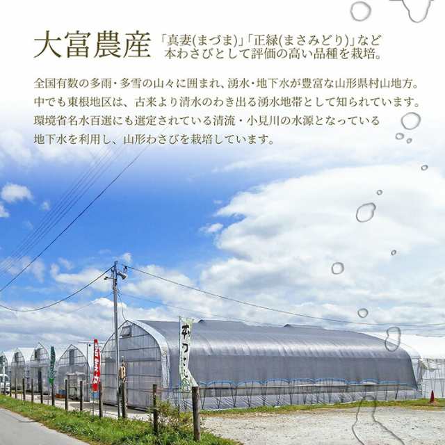 ＼ただ今、お届け中!／ 本わさび 1〜4本 約150g 無農薬 名水百選 山形県産 わさび専門ハウス直送 新鮮 採れたて ｜au PAY マーケット