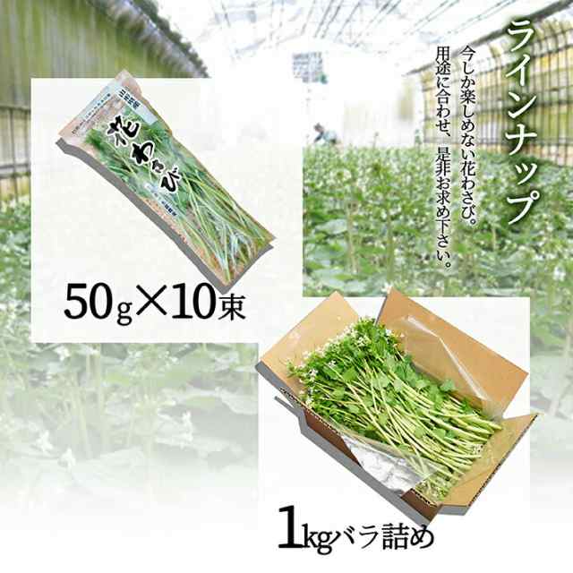 22年2月下旬 先行予約 花わさび 約50g 10束入り 季節限定 名水百選 山形県産 わさび専門ハウス直送 新鮮 採れたて 冷蔵 業務用の通販はau Pay マーケット グルメ ギフトお取り寄せ 山形elab