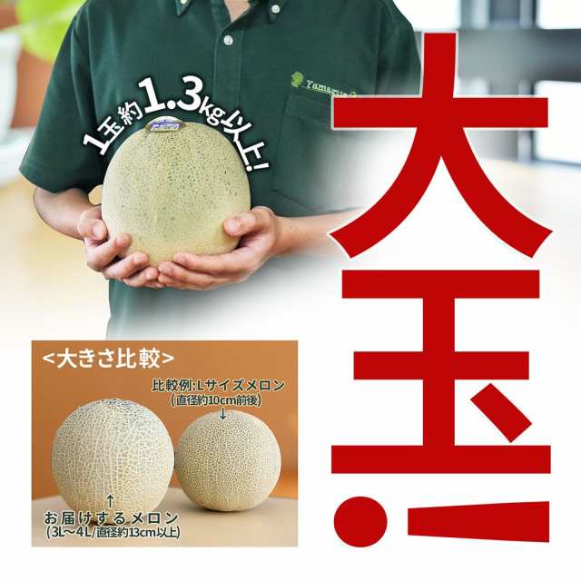 ふるさと納税 山形県 - 庄内産砂丘メロン（青肉）約5kg FSY-0761 - メロン