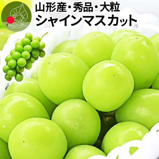 緊急値下げ❗️山梨県産　種無しシャインマスカット3房　化粧箱　1房約500g前後