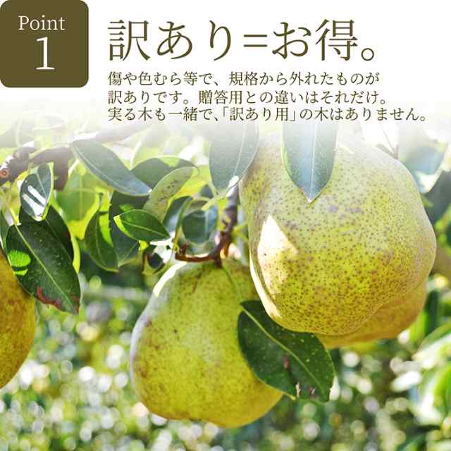 年 今が 旬 ラフランス 訳あり 山形県産 2kg お徳用 ワケあり ジューシーなフルーツ 果物の女王様 山形県産 洋梨 産地直送の新の通販はau Pay マーケット グルメ ギフトお取り寄せ 山形elab