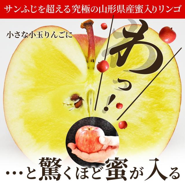 2026年11月上旬発送 先行予約】 りんご 蜜入り 高徳 (こうとく) 5〜7玉