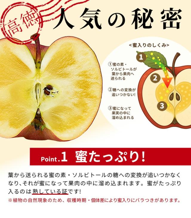 2026年11月上旬発送 先行予約】 りんご 蜜入り 高徳 (こうとく) 5〜7玉