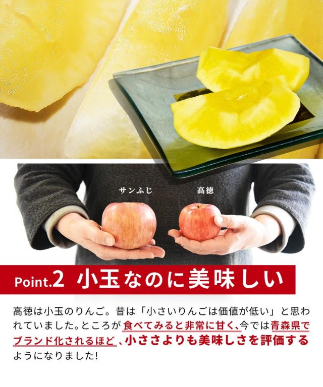 2026年11月上旬発送 先行予約】 りんご 蜜入り 高徳 (こうとく) 5〜7玉