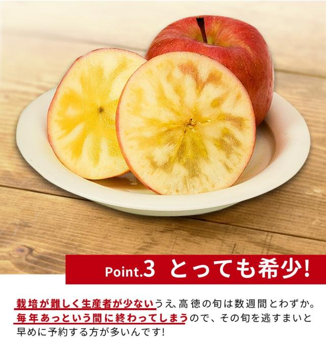 2026年11月上旬発送 先行予約】 りんご 蜜入り 高徳 (こうとく) 5〜7玉