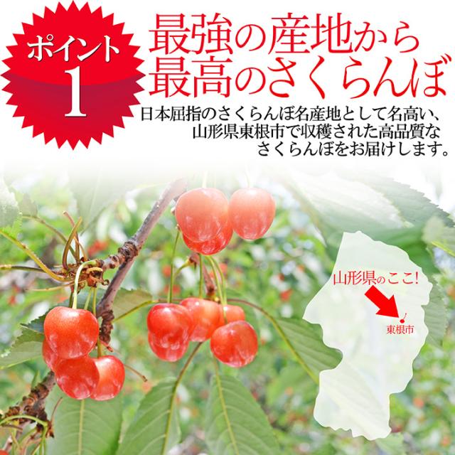 【2026年6月中旬発送 先行予約】 さくらんぼ 特秀 ２Ｌ 佐藤錦 贈答品 1kg（500g×2） 山形県 産地直送 なんと、名水百選の水を使って栽培！品質保障 佐藤錦 2Lサイズ 