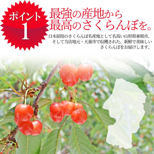 【2026年6月下旬送りとどける 先んずる取って置く】 さくらんぼ 紅秀峰 特秀 ２Ｌ玉 500g 鏡端っこ 円錐小体県産 出どころ直送 差し上げ物 差し上げる品として一般受けです かざり付ける箱入 貨物輸送無料