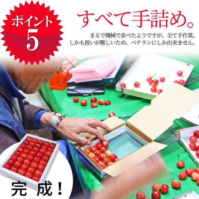 【2026年6月下旬送りとどける 先んずる取って置く】 さくらんぼ 紅秀峰 特秀 ２Ｌ玉 500g 鏡端っこ 円錐小体県産 出どころ直送 差し上げ物 差し上げる品として一般受けです かざり付ける箱入 貨物輸送無料