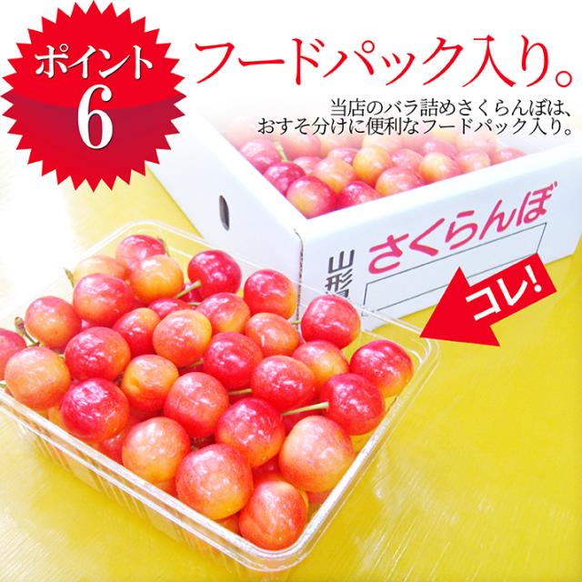 【2026年6月中旬発送 先行予約】 さくらんぼ 特秀 ２Ｌ 佐藤錦 贈答品 1kg（500g×2） 山形県 産地直送 なんと、名水百選の水を使って栽培！品質保障 佐藤錦 2Lサイズ 