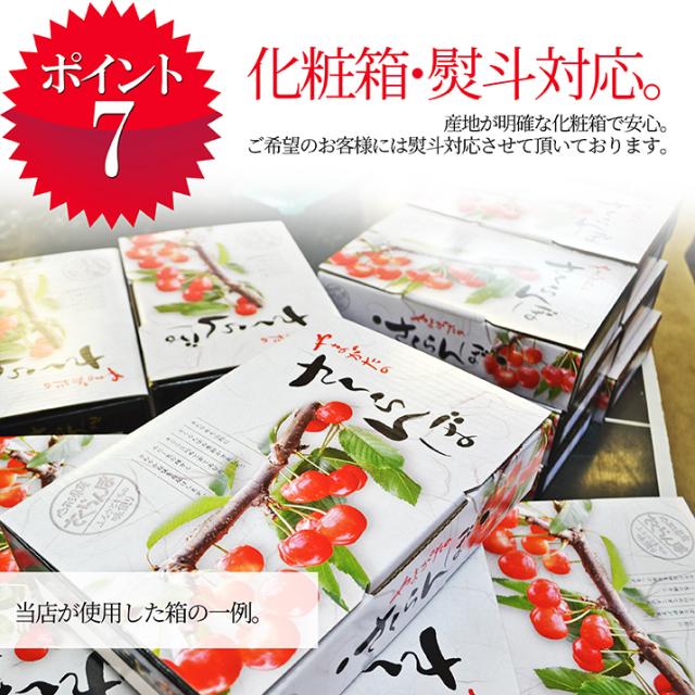 【2026年6月中旬発送 先行予約】 さくらんぼ 特秀 ２Ｌ 佐藤錦 贈答品 1kg（500g×2） 山形県 産地直送 なんと、名水百選の水を使って栽培！品質保障 佐藤錦 2Lサイズ 