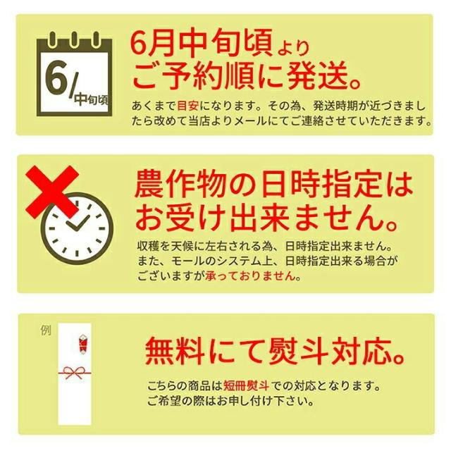 【2026年6月中旬発送 先行予約】 2L 特秀 さくらんぼ 佐藤錦 or 紅秀峰 500g(鏡詰め) 山形県産 産地直送 化粧箱入 プレゼント お中元 ギフト 品質保証 贈答品 のし グルメ お取り寄せ_17
