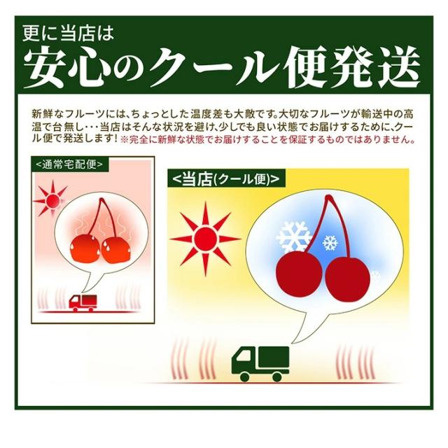 【2026年6月中旬発送 先行予約】 2L 特秀 さくらんぼ 佐藤錦 or 紅秀峰 500g(鏡詰め) 山形県産 産地直送 化粧箱入 プレゼント お中元 ギフト 品質保証 贈答品 のし グルメ お取り寄せ_10