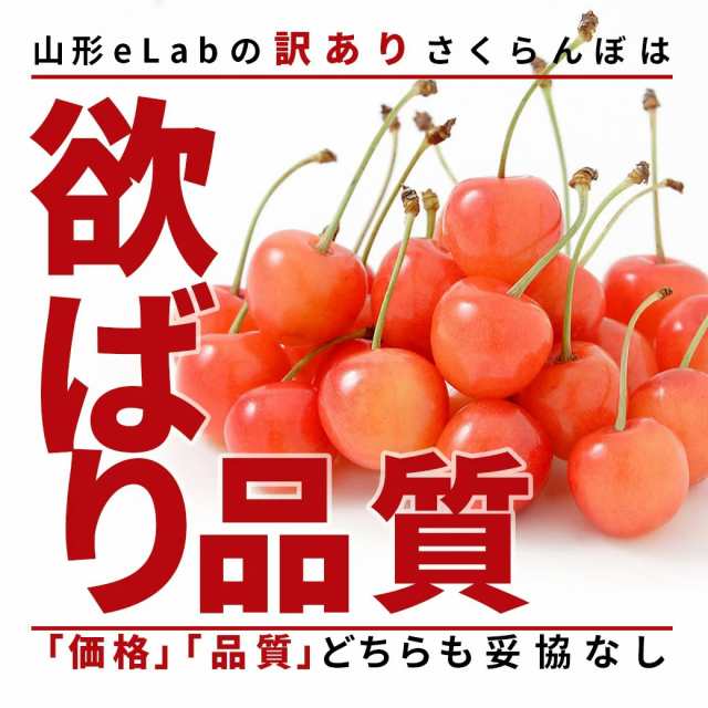 6【本日発送】紅秀峰1kg 山形県産さくらんぼ