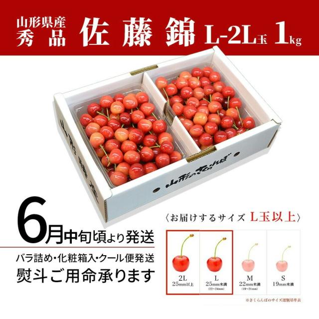 【2026年6月中旬発送 先行予約】 さくらんぼ 佐藤錦 贈答品 1kg（500g×2） 山形県産 東根市 産地直送 L 2Lサイズ なんと、名水百選の水を使って栽培 送料無料 同梱不可 日時指定不可 果物 食べ物_14