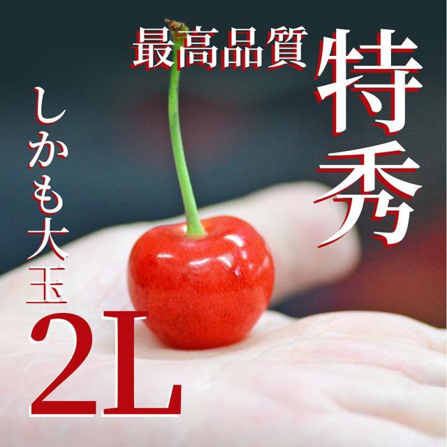 【2026年6月中旬発送 先行予約】 さくらんぼ 特秀 ２Ｌ 佐藤錦 贈答品 1kg（500g×2） 山形県 産地直送 なんと、名水百選の水を使って栽培！品質保障 佐藤錦 2Lサイズ 