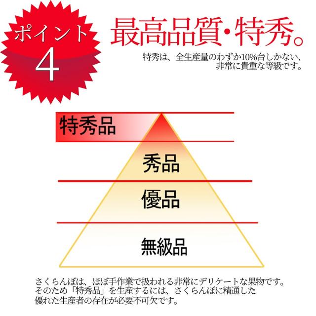 【2026年6月中旬発送 先行予約】 さくらんぼ 特秀 ２Ｌ 佐藤錦 贈答品 1kg（500g×2） 山形県 産地直送 なんと、名水百選の水を使って栽培！品質保障 佐藤錦 2Lサイズ 