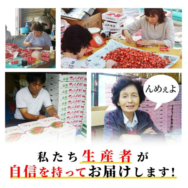 【2026年6月中旬発送 先行予約】 さくらんぼ 佐藤錦 贈答品 1kg（500g×2） 山形県産 東根市 産地直送 L 2Lサイズ なんと、名水百選の水を使って栽培 送料無料 同梱不可 日時指定不可 果物 食べ物_11