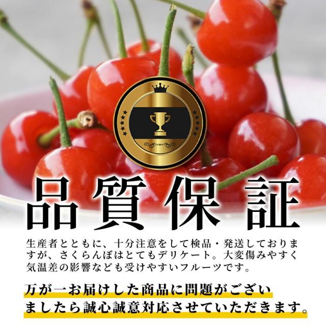 【母の日 ギフト まだ間に合う！】 さくらんぼ佐藤錦 500g 特秀 2L玉 鏡詰め 山形県産 産地直送 化粧箱入 プレゼント 手詰め メッセージカード ギフトカード 付 さくらんぼ 山形 大玉_15
