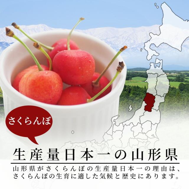 【母の日 ギフト まだ間に合う！】 さくらんぼ佐藤錦 500g 特秀 2L玉 鏡詰め 山形県産 産地直送 化粧箱入 プレゼント 手詰め メッセージカード ギフトカード 付 さくらんぼ 山形 大玉_6