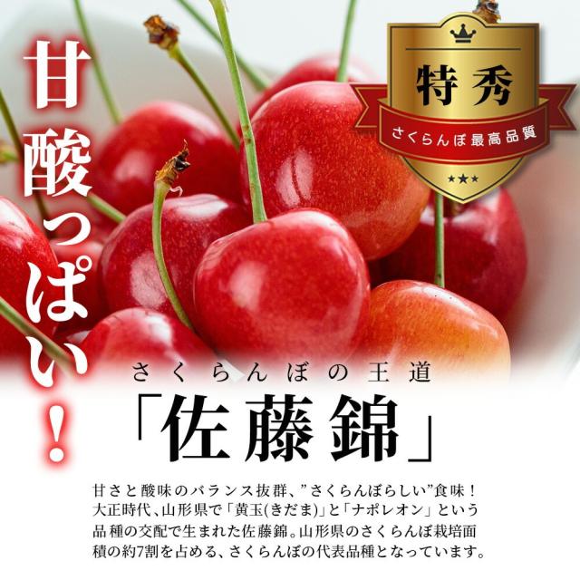 【母の日 ギフト まだ間に合う！】 さくらんぼ佐藤錦 500g 特秀 2L玉 鏡詰め 山形県産 産地直送 化粧箱入 プレゼント 手詰め メッセージカード ギフトカード 付 さくらんぼ 山形 大玉_7