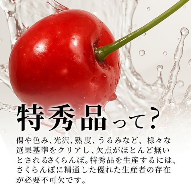 【2026年6月中旬発送 先行予約】 2L 特秀 さくらんぼ 佐藤錦 or 紅秀峰 500g(鏡詰め) 山形県産 産地直送 化粧箱入 プレゼント お中元 ギフト 品質保証 贈答品 のし グルメ お取り寄せ_7