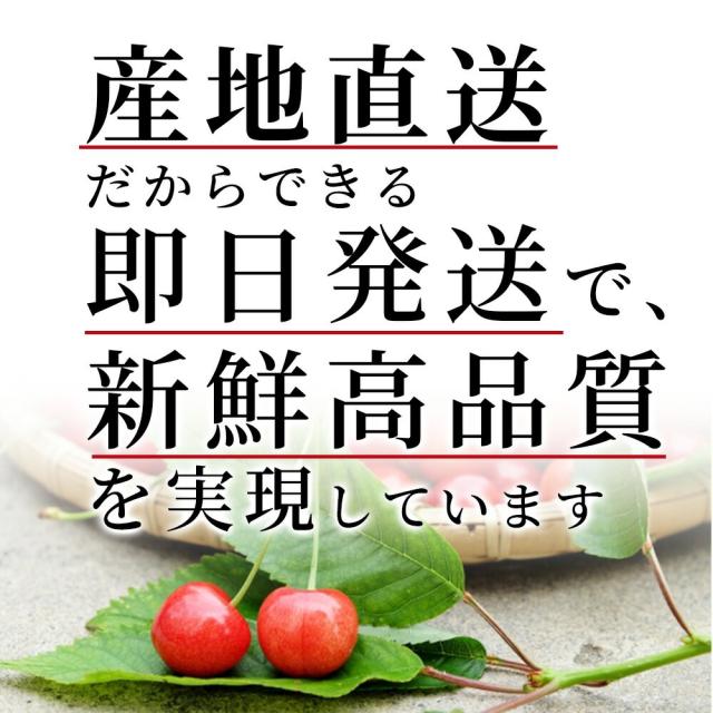 【母の日 ギフト まだ間に合う！】 さくらんぼ佐藤錦 500g 特秀 2L玉 鏡詰め 山形県産 産地直送 化粧箱入 プレゼント 手詰め メッセージカード ギフトカード 付 さくらんぼ 山形 大玉_13