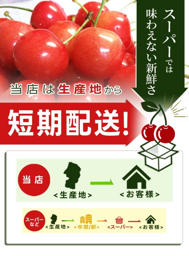 【2026年6月中旬発送 先行予約】 2L 特秀 さくらんぼ 佐藤錦 or 紅秀峰 500g(鏡詰め) 山形県産 産地直送 化粧箱入 プレゼント お中元 ギフト 品質保証 贈答品 のし グルメ お取り寄せ_8