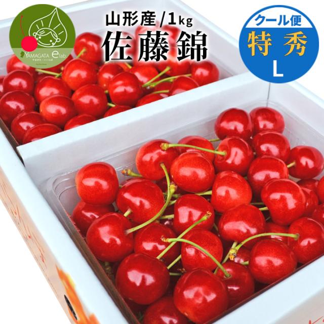 【2026年6月中旬発送 先行早割】 さくらんぼ 佐藤錦 Ｌ玉 特秀 1kg（500g×2） 山形県産 産地直送 お中元 ギフト 安心品質保証 送料無料 名水百選の水を使って栽培