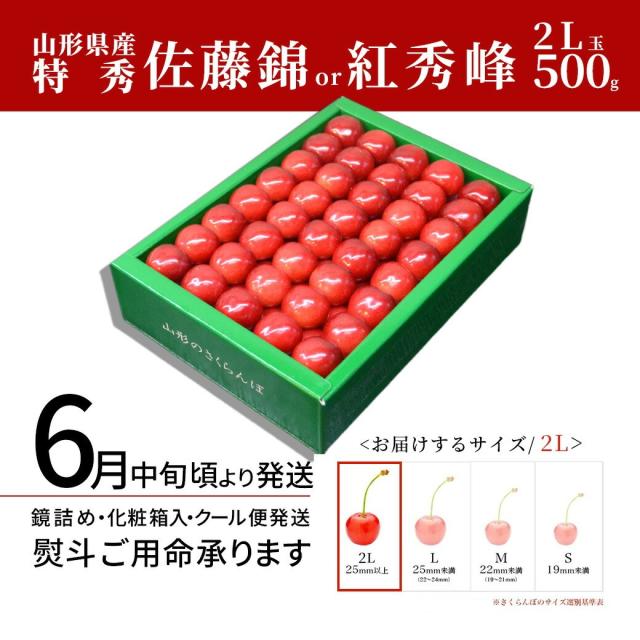 【2026年6月中旬発送 先行予約】 2L 特秀 さくらんぼ 佐藤錦 or 紅秀峰 500g(鏡詰め) 山形県産 産地直送 化粧箱入 プレゼント お中元 ギフト 品質保証 贈答品 のし グルメ お取り寄せ_15