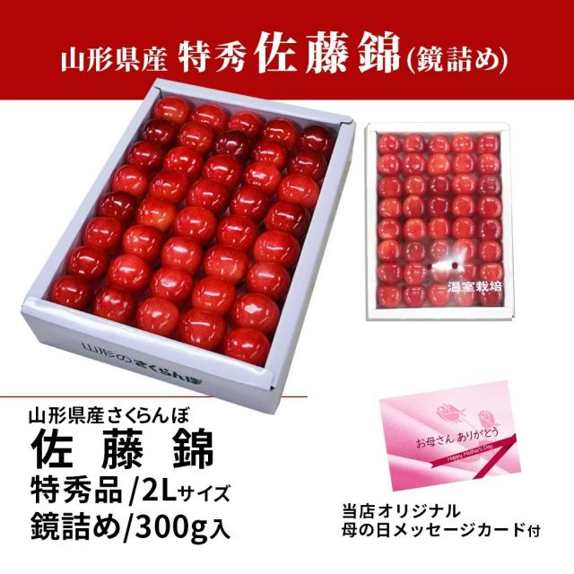 【母の日 ギフト まだ間に合う！】 さくらんぼ 佐藤錦 特秀 2L玉 鏡詰め 300g 山形県産 産地直送 化粧箱入 プレゼント 産地直送 手詰め メッセージカード_16
