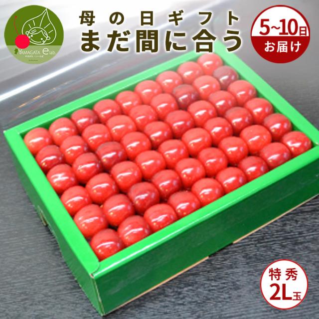 【母の日 ギフト まだ間に合う！】 さくらんぼ佐藤錦 500g 特秀 2L玉 鏡詰め 山形県産 産地直送 化粧箱入 プレゼント 手詰め メッセージカード ギフトカード 付 さくらんぼ 山形 大玉