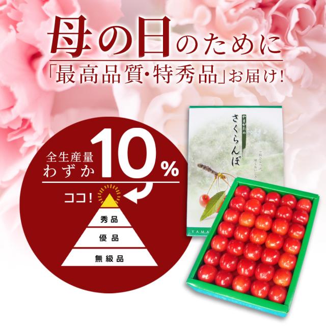 【母の日 ギフト まだ間に合う！】 さくらんぼ佐藤錦 500g 特秀 2L玉 鏡詰め 山形県産 産地直送 化粧箱入 プレゼント 手詰め メッセージカード ギフトカード 付 さくらんぼ 山形 大玉_9