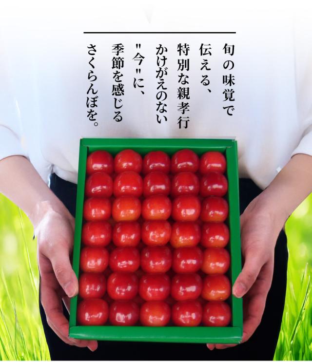 【母の日 ギフト まだ間に合う！】 さくらんぼ佐藤錦 500g 特秀 2L玉 鏡詰め 山形県産 産地直送 化粧箱入 プレゼント 手詰め メッセージカード ギフトカード 付 さくらんぼ 山形 大玉_4