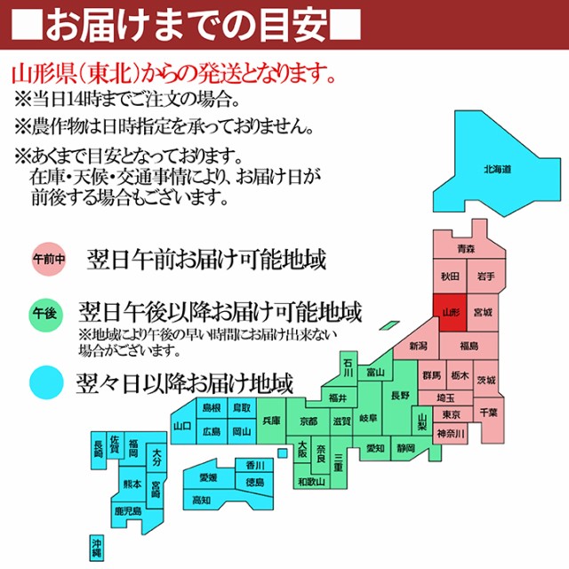 【2026年6月中旬発送 先行予約】 さくらんぼ 特秀 ２Ｌ 佐藤錦 贈答品 1kg（500g×2） 山形県 産地直送 なんと、名水百選の水を使って栽培！品質保障 佐藤錦 2Lサイズ 